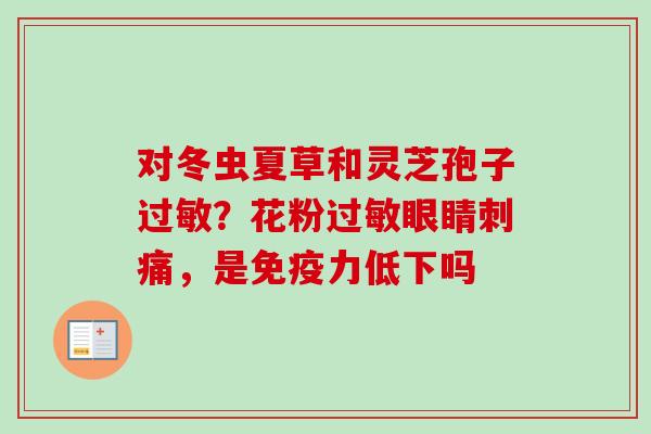 对冬虫夏草和灵芝孢子过敏？花粉过敏眼睛刺痛，是免疫力低下吗