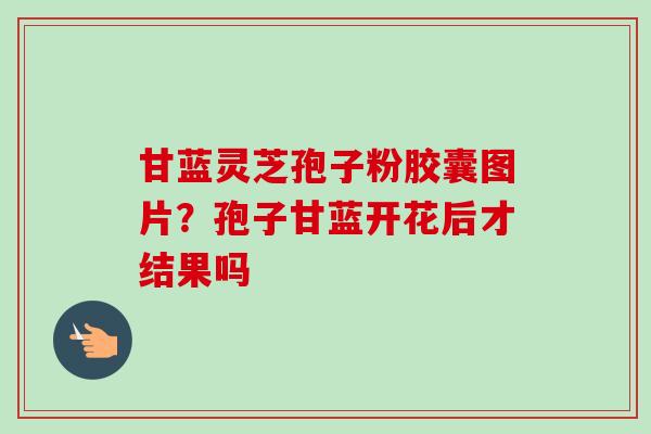 甘蓝灵芝孢子粉胶囊图片？孢子甘蓝开花后才结果吗