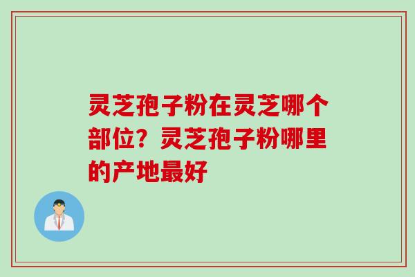 灵芝孢子粉在灵芝哪个部位？灵芝孢子粉哪里的产地最好