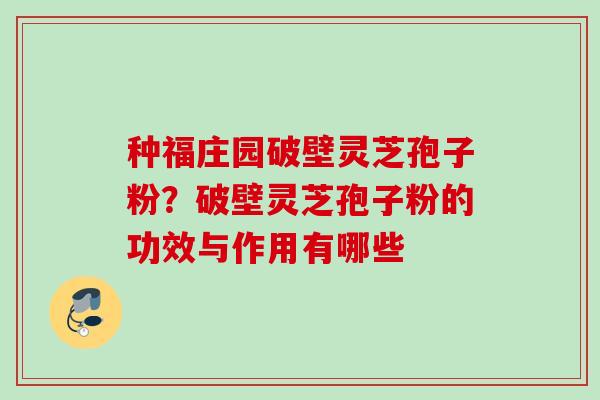 种福庄园破壁灵芝孢子粉？破壁灵芝孢子粉的功效与作用有哪些