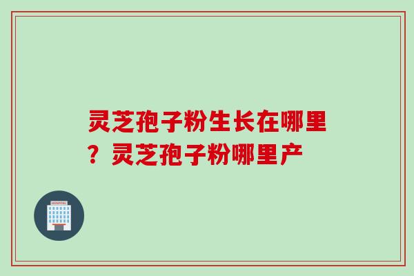 灵芝孢子粉生长在哪里？灵芝孢子粉哪里产