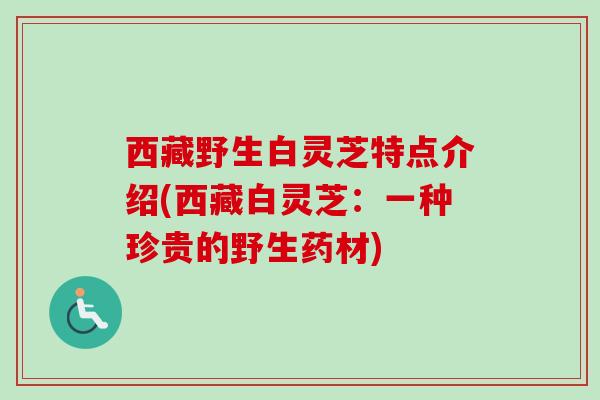 西藏野生白灵芝特点介绍(西藏白灵芝：一种珍贵的野生药材)