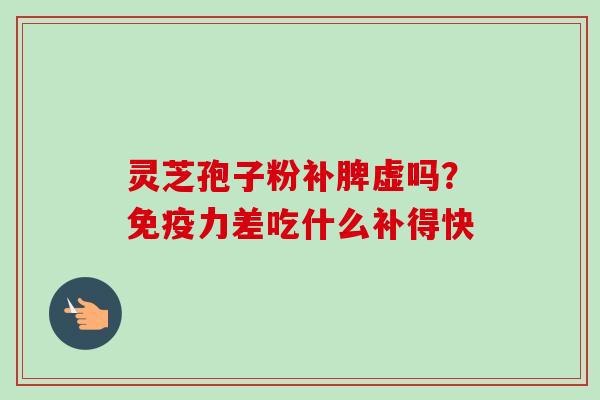 灵芝孢子粉补脾虚吗？免疫力差吃什么补得快