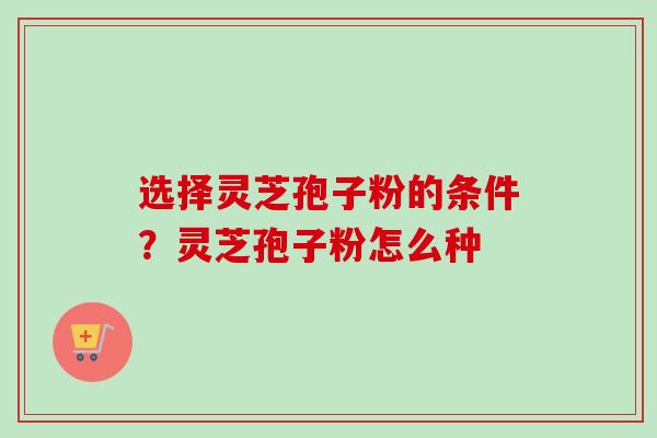 选择灵芝孢子粉的条件？灵芝孢子粉怎么种