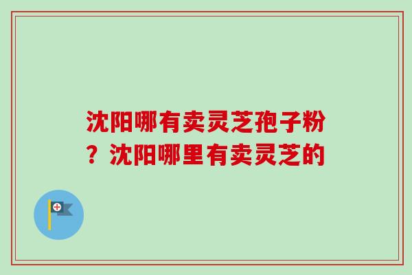沈阳哪有卖灵芝孢子粉？沈阳哪里有卖灵芝的
