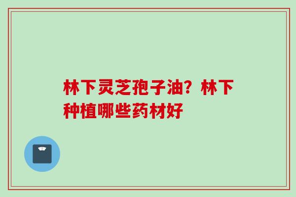 林下灵芝孢子油？林下种植哪些药材好