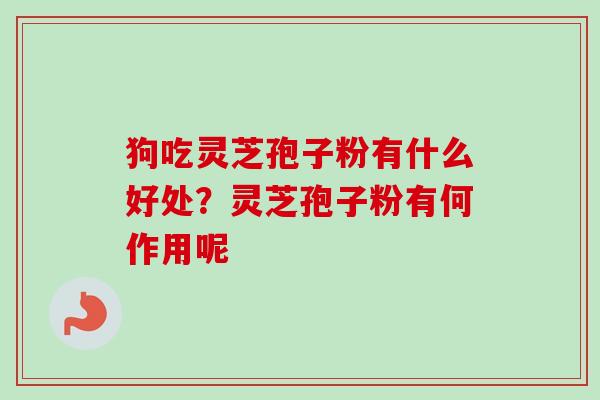 狗吃灵芝孢子粉有什么好处？灵芝孢子粉有何作用呢