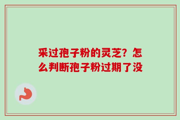 采过孢子粉的灵芝?怎么判断孢子粉过期了没 采过孢子粉的灵芝?怎么判断孢子粉过期了没