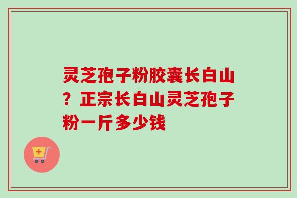 灵芝孢子粉胶囊长白山？正宗长白山灵芝孢子粉一斤多少钱