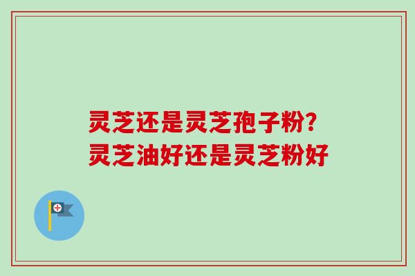 灵芝还是灵芝孢子粉？灵芝油好还是灵芝粉好