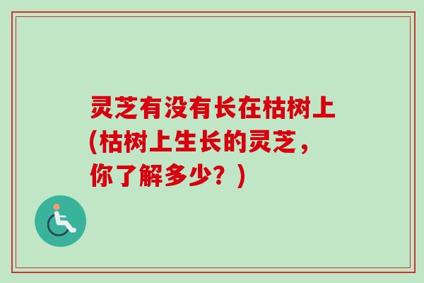 灵芝有没有长在枯树上(枯树上生长的灵芝，你了解多少？)