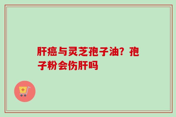 肝癌与灵芝孢子油？孢子粉会伤肝吗