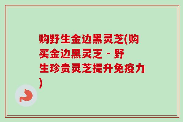 购野生金边黑灵芝(购买金边黑灵芝 - 野生珍贵灵芝提升免疫力)