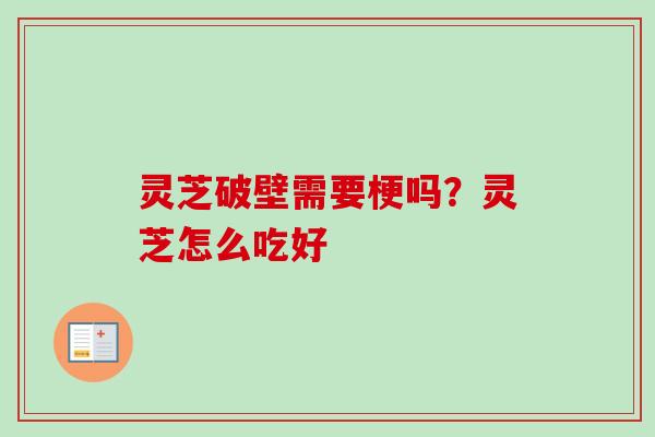 灵芝破壁需要梗吗？灵芝怎么吃好