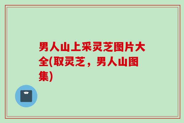 男人山上采灵芝图片大全(取灵芝,男人山图集) 男人山上采灵芝图片大全(取灵芝,男人山图集)