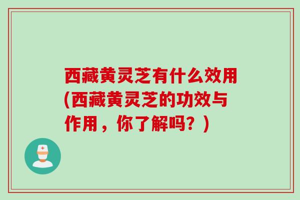 西藏黄灵芝有什么效用(西藏黄灵芝的功效与作用，你了解吗？)