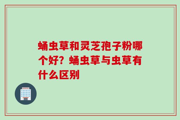 蛹虫草和灵芝孢子粉哪个好？蛹虫草与虫草有什么区别