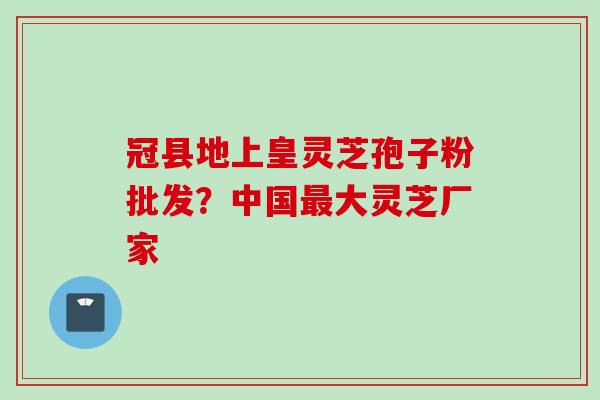 冠县地上皇灵芝孢子粉批发？中国最大灵芝厂家