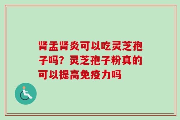 肾盂肾炎可以吃灵芝孢子吗？灵芝孢子粉真的可以提高免疫力吗