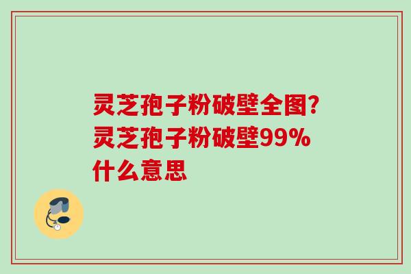 灵芝孢子粉破壁全图？灵芝孢子粉破壁99%什么意思