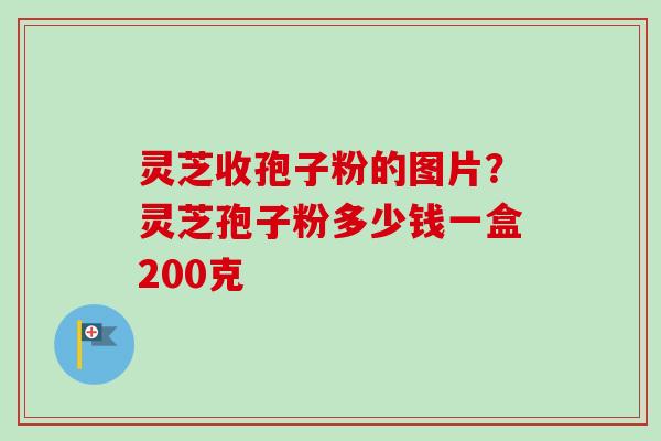 灵芝收孢子粉的图片？灵芝孢子粉多少钱一盒200克