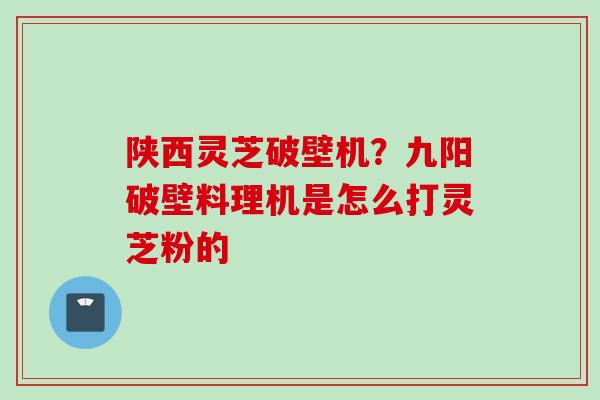 陕西灵芝破壁机？九阳破壁料理机是怎么打灵芝粉的