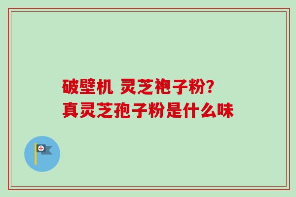 破壁机 灵芝袍子粉?真灵芝孢子粉是什么味 破壁机 灵芝袍子粉?真灵芝孢子粉是什么味