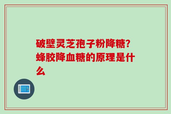 破壁灵芝孢子粉降糖？蜂胶降血糖的原理是什么