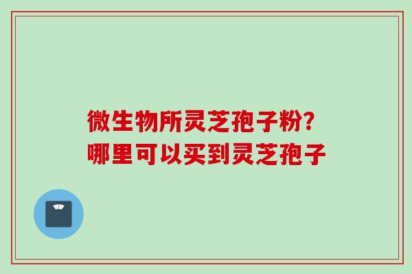 微生物所灵芝孢子粉？哪里可以买到灵芝孢子