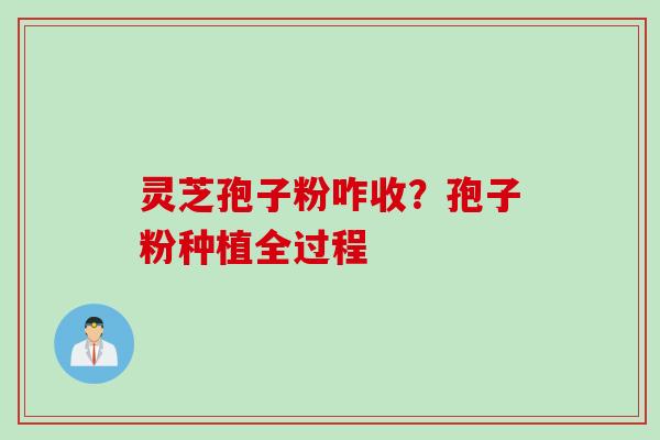 灵芝孢子粉咋收?孢子粉种植全过程 灵芝孢子粉咋收?孢子粉种植全过程