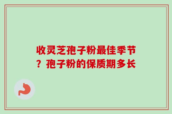 收灵芝孢子粉最佳季节？孢子粉的保质期多长