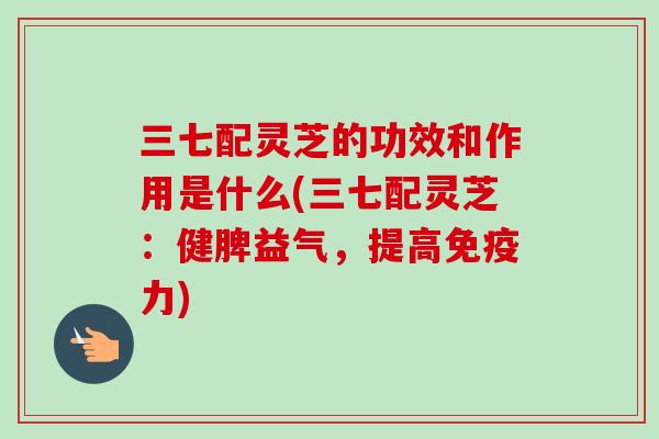 三七配灵芝的功效和作用是什么(三七配灵芝:健脾益气,提高免疫力) 三七配灵芝的功效和作用是什么(三七配灵芝:健脾益气,提高免疫力)