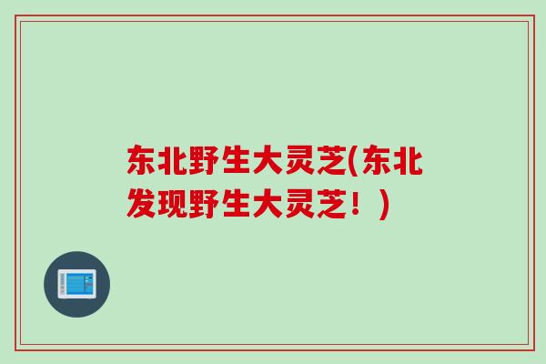 东北野生大灵芝(东北发现野生大灵芝！)