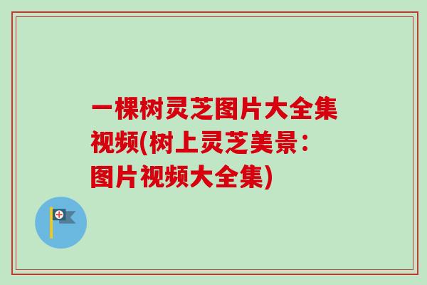 一棵树灵芝图片大全集视频(树上灵芝美景：图片视频大全集)
