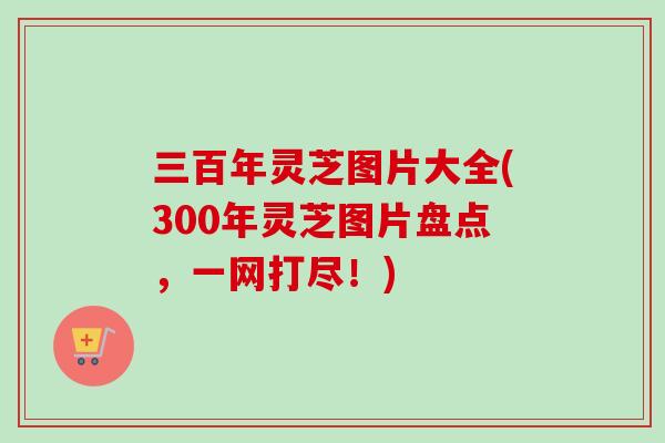 三百年灵芝图片大全(300年灵芝图片盘点,一网打尽!) 三百年灵芝图片大全(300年灵芝图片盘点,一网打尽!)