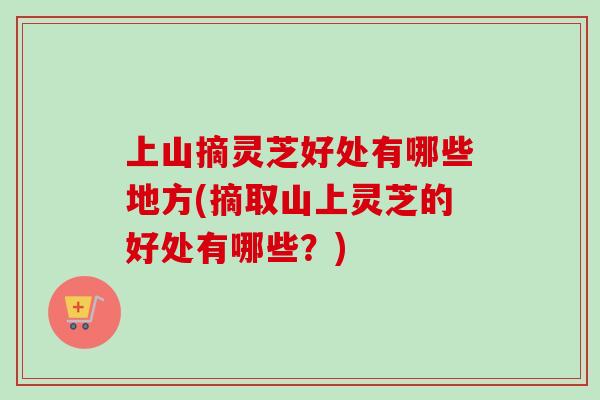 上山摘灵芝好处有哪些地方(摘取山上灵芝的好处有哪些？)