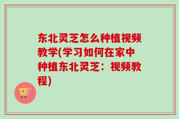 东北灵芝怎么种植视频教学(学习如何在家中种植东北灵芝：视频教程)