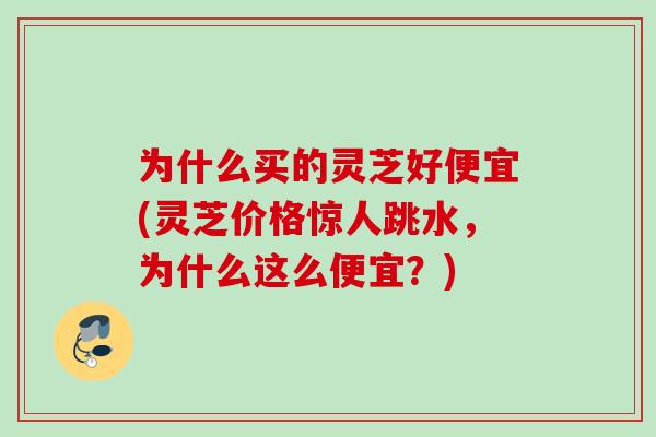 为什么买的灵芝好便宜(灵芝价格惊人跳水，为什么这么便宜？)