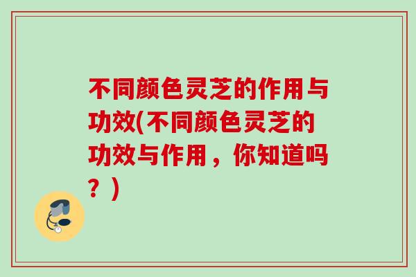 不同颜色灵芝的作用与功效(不同颜色灵芝的功效与作用，你知道吗？)