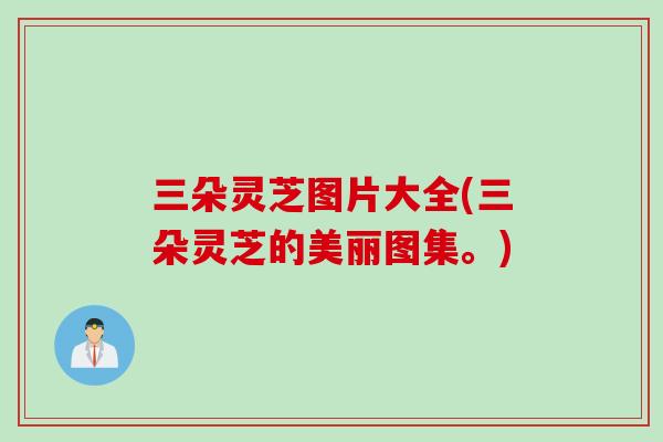 三朵灵芝图片大全(三朵灵芝的美丽图集。)