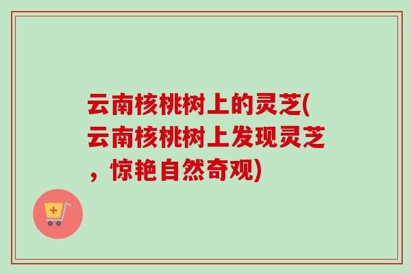 云南核桃树上的灵芝(云南核桃树上发现灵芝，惊艳自然奇观)