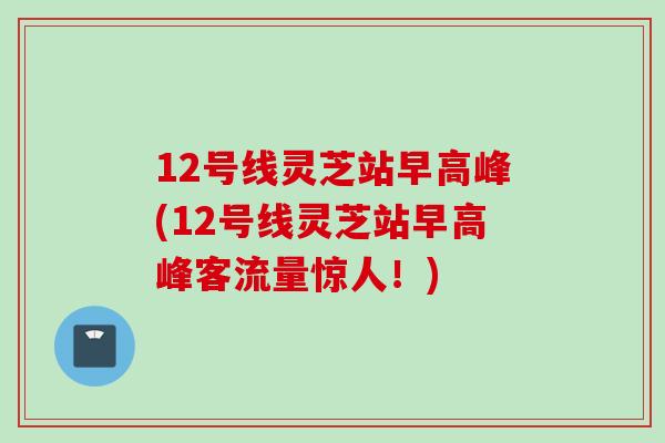 12号线灵芝站早高峰(12号线灵芝站早高峰客流量惊人！)