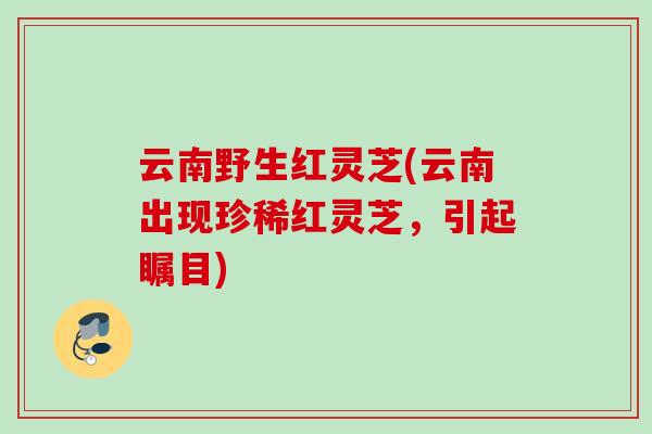 云南野生红灵芝(云南出现珍稀红灵芝，引起瞩目)