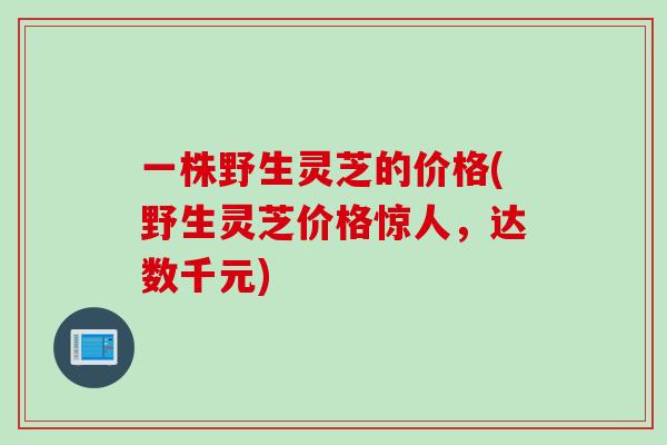 一株野生灵芝的价格(野生灵芝价格惊人，达数千元)