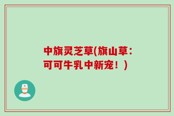 中旗灵芝草(旗山草：可可牛乳中新宠！)
