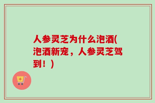 人参灵芝为什么泡酒(泡酒新宠，人参灵芝驾到！)