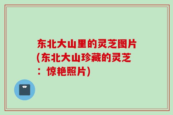 东北大山里的灵芝图片(东北大山珍藏的灵芝：惊艳照片)