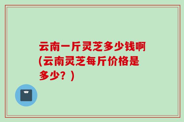 云南一斤灵芝多少钱啊(云南灵芝每斤价格是多少？)