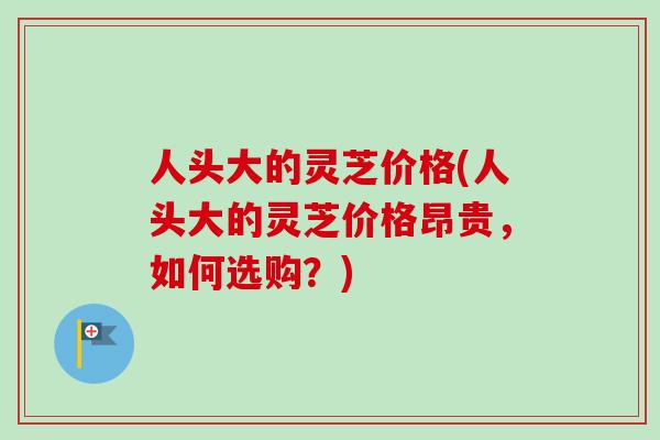 人头大的灵芝价格(人头大的灵芝价格昂贵，如何选购？)