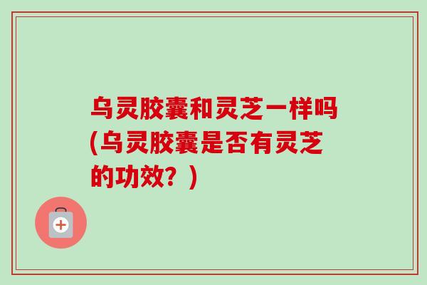 乌灵胶囊和灵芝一样吗(乌灵胶囊是否有灵芝的功效？)